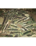 Standard Navnemærke, MultiCam (MTS)
