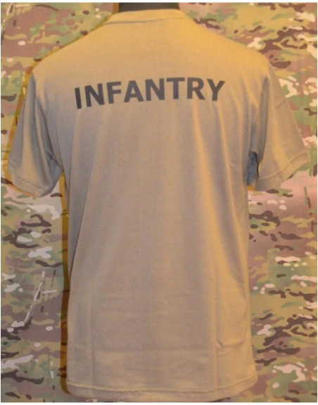 RAVEN - T-shirt, MTS-khaki - med INFANERY tryk